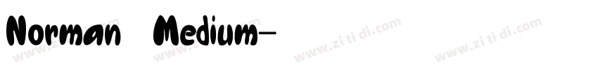 Norman   Medium字体转换